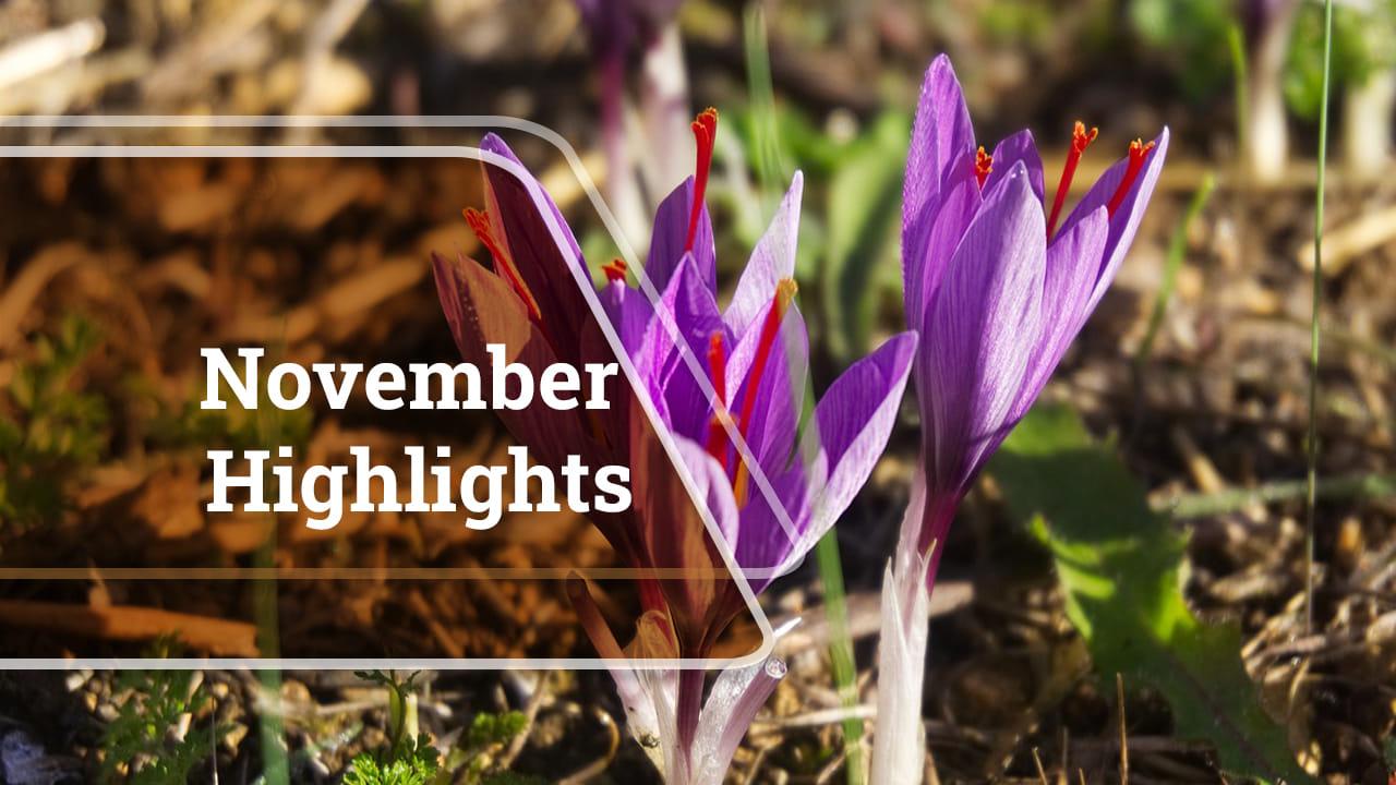 kvplus/articles/19c911aca4fdfbb5e3e668b66cb7547c_November.jpg