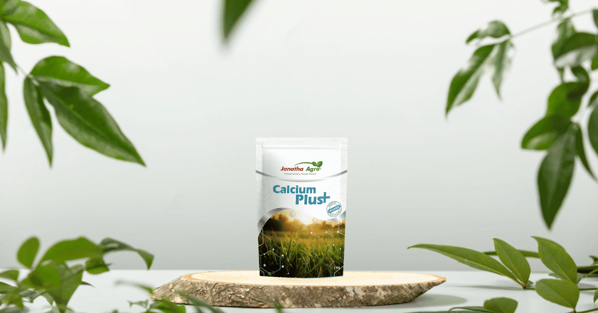 kvplus/articles/1c93bb265e375f973650b1b62ff26270_Calcium-Plus.png