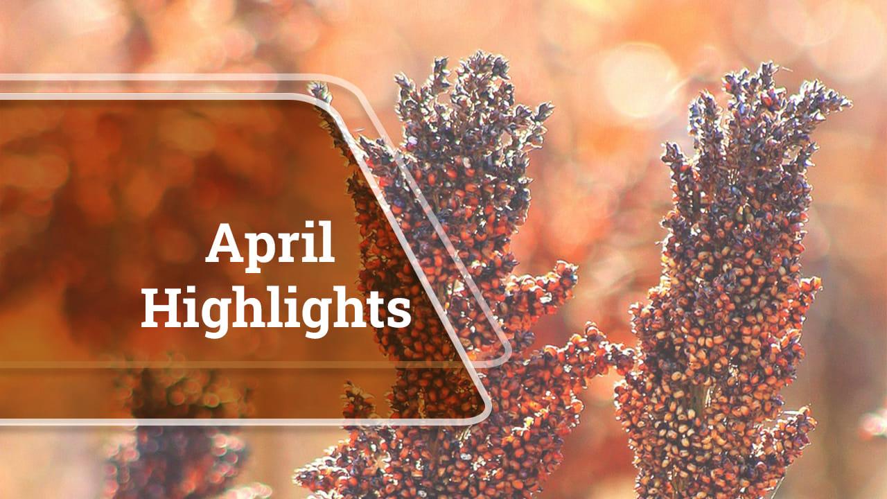 kvplus/articles/251440d50104febea1f3d226ac4551bf_April_Highlights-1.jpg