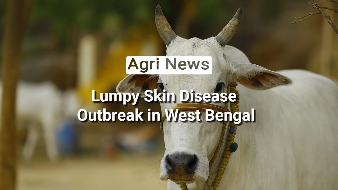 kvplus/articles/251f3498bebee5dc825360822da816ac_News.jpg