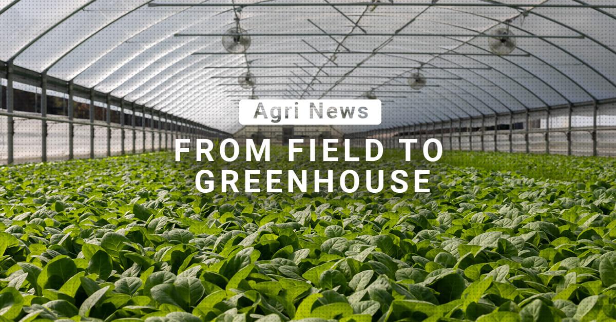 kvplus/articles/3784e325aefac6375ed059058f36b4dc_greenhouse.jpg