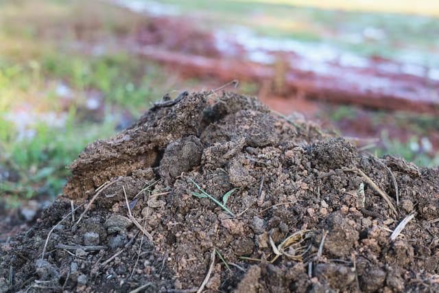 kvplus/articles/640-manure-is-used-to-make-organic-fertilizers.jpg