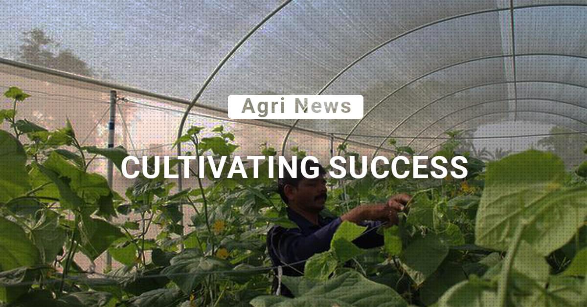 kvplus/articles/6506e63419b5744c937aacc8b5b3cd91_Cultiating-success.jpg