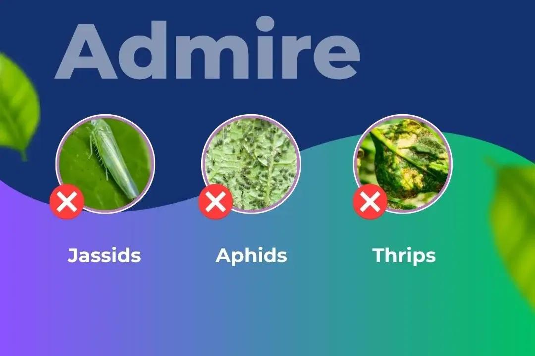 Admire Insecticide Target Pest