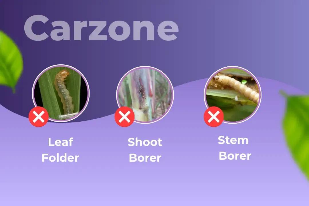 Agriventure Carzone  Insecticide Target Pest