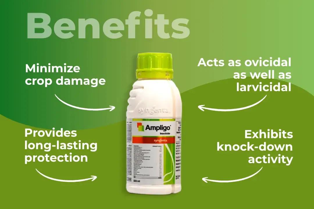 Ampligo Insecticide Benefits