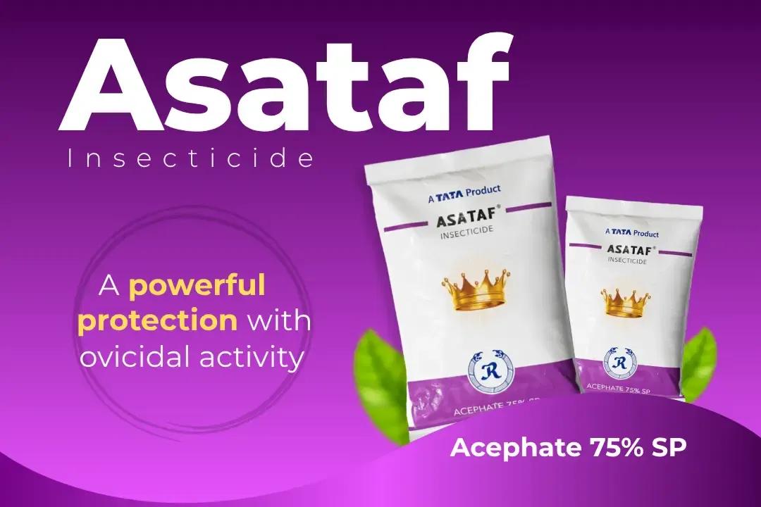 Asataf Insecticide Technical Name