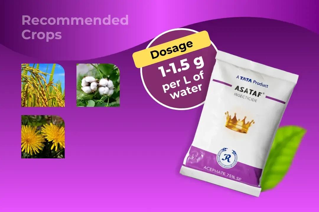 Asataf Insecticide Dosage Per Litre And Recommended Crops