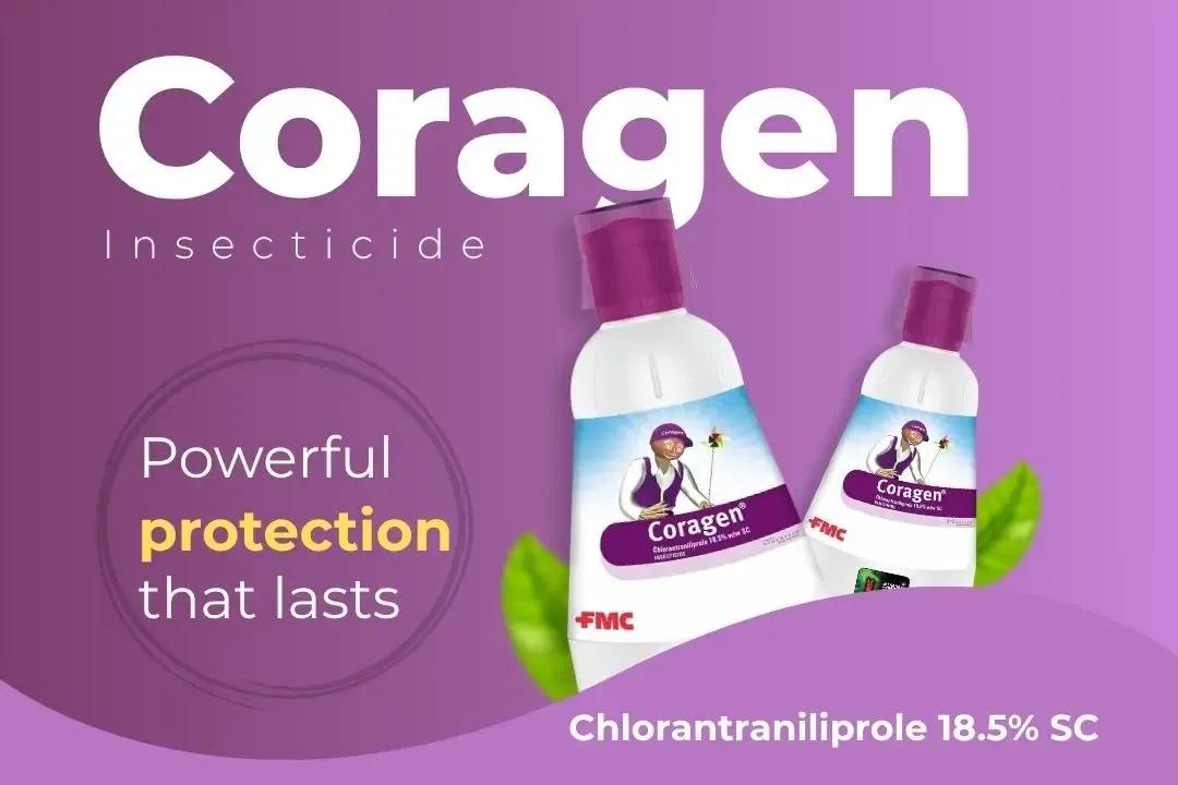 Coragen Insecticide Technical Name