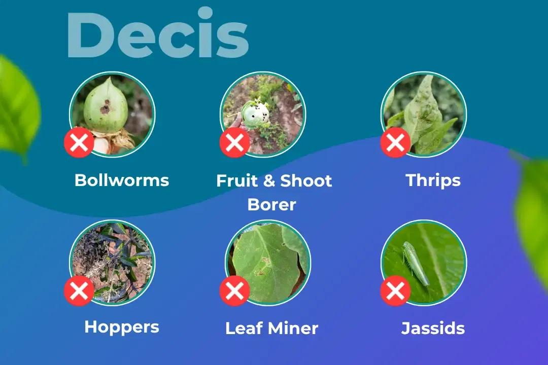 Decis Insecticide Target Pest