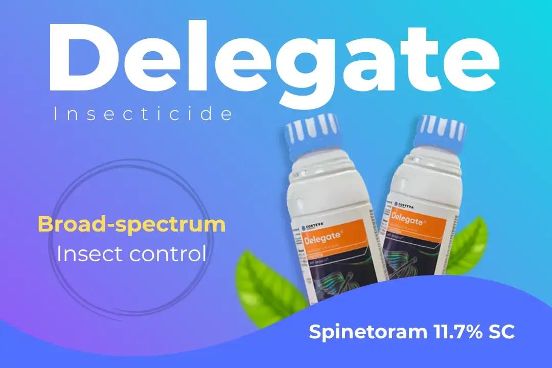Delegate Insecticide Technical Name