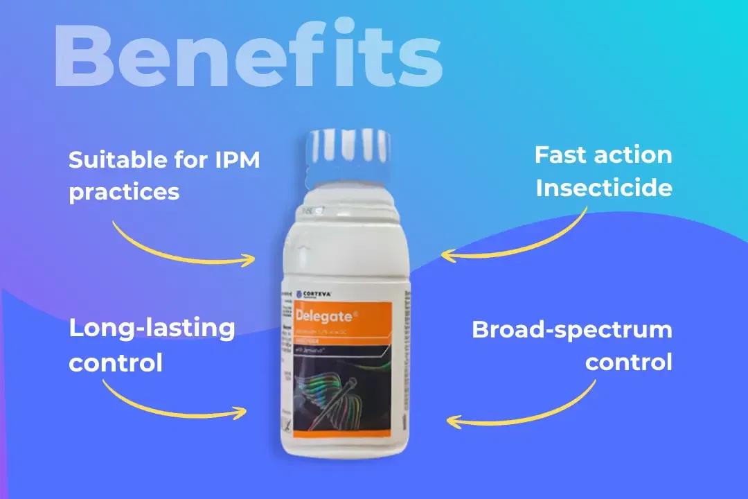 Delegate Insecticide Benefits