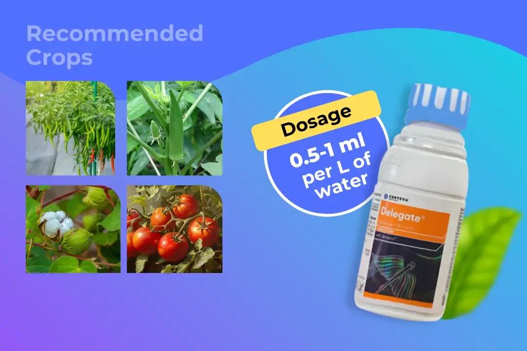 Delegate Insecticide Dosage Per Litre And Recommended Crops