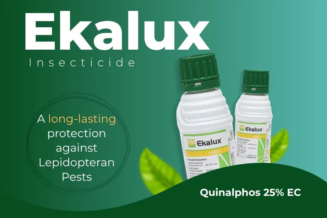 Ekalux Insecticide Technical Name