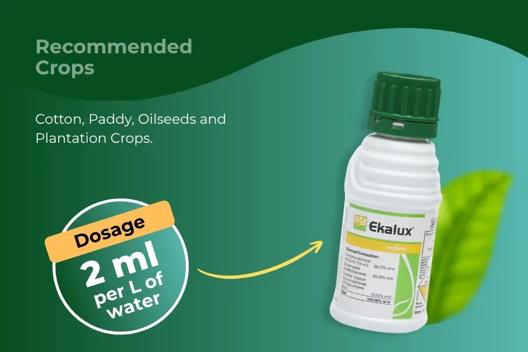 Ekalux Insecticide Dosage Per Litre And Recommended Crops