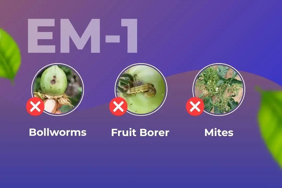 EM-1 Insecticide Target Pest