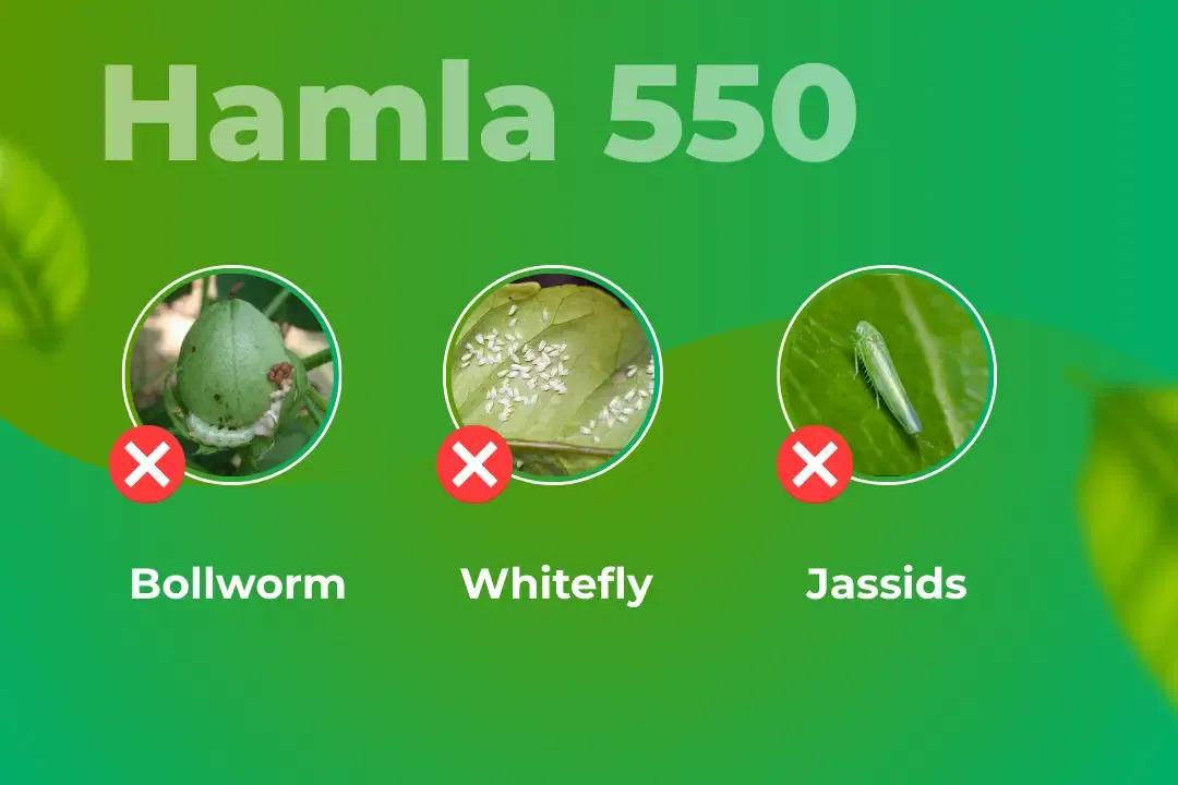 Hamla 550 Target Pest