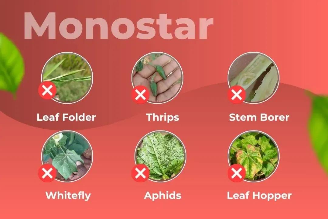 Monostar Insecticide Target Pest