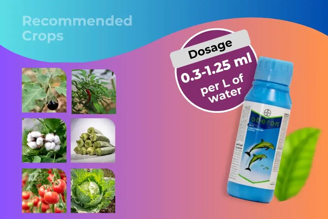 Oberon Insecticide Dosage Per Litre And Recommended Crops