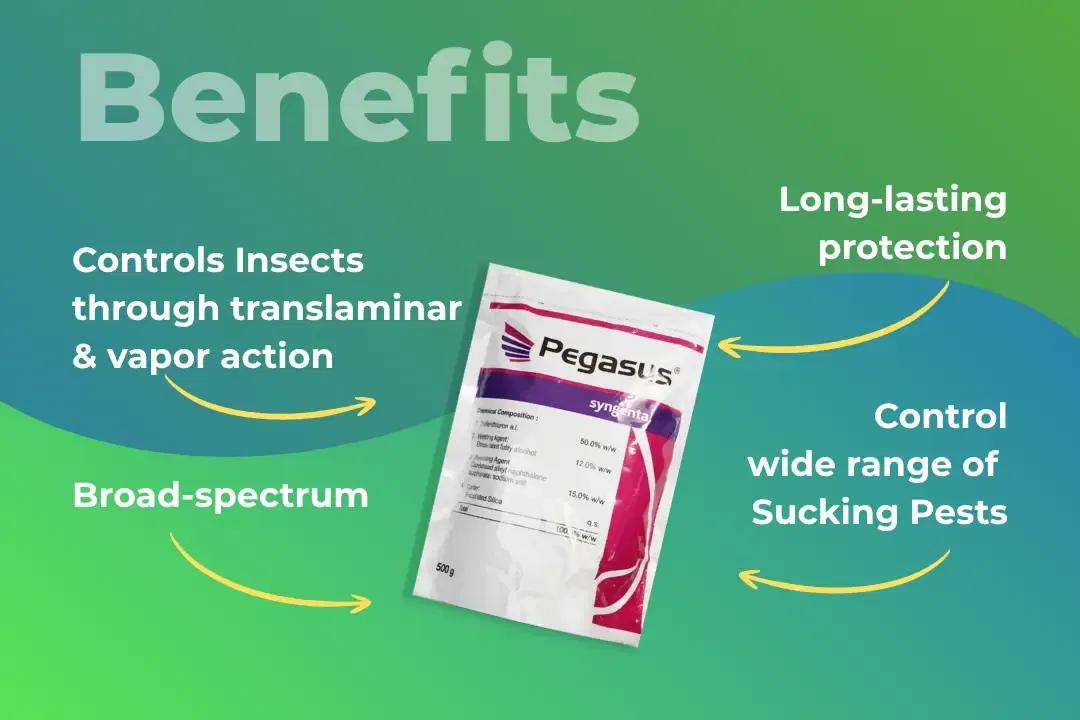 Pegasus Insecticide Benefits