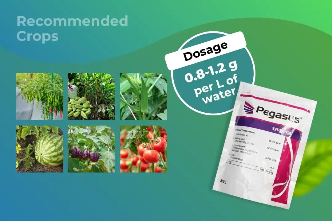 Pegasus Insecticide Dosage Per Litre And Recommended Crops