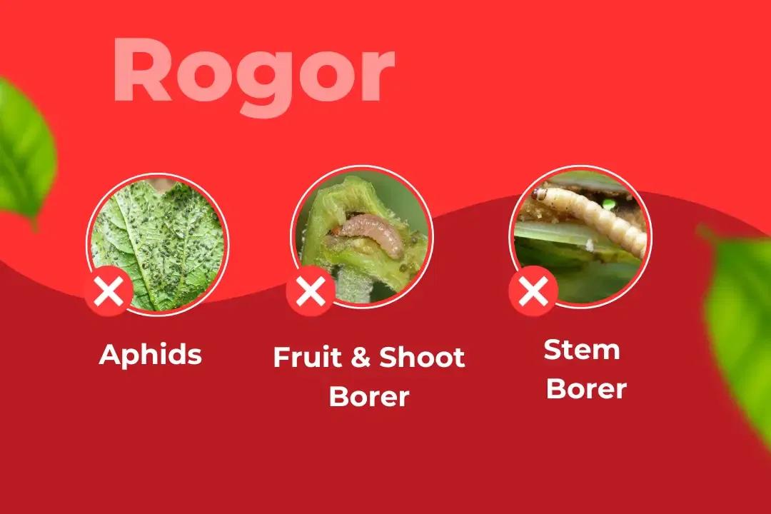 Rogor Insecticide Target Pest