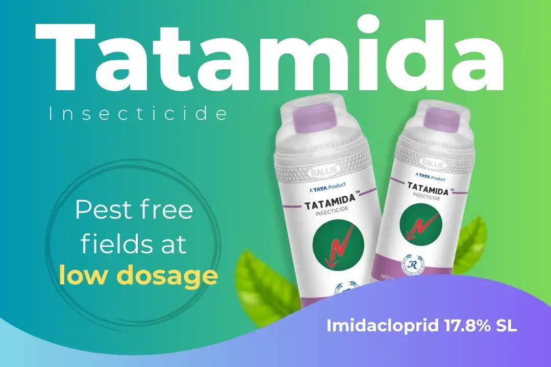 Tatamida Insecticide Technical Name