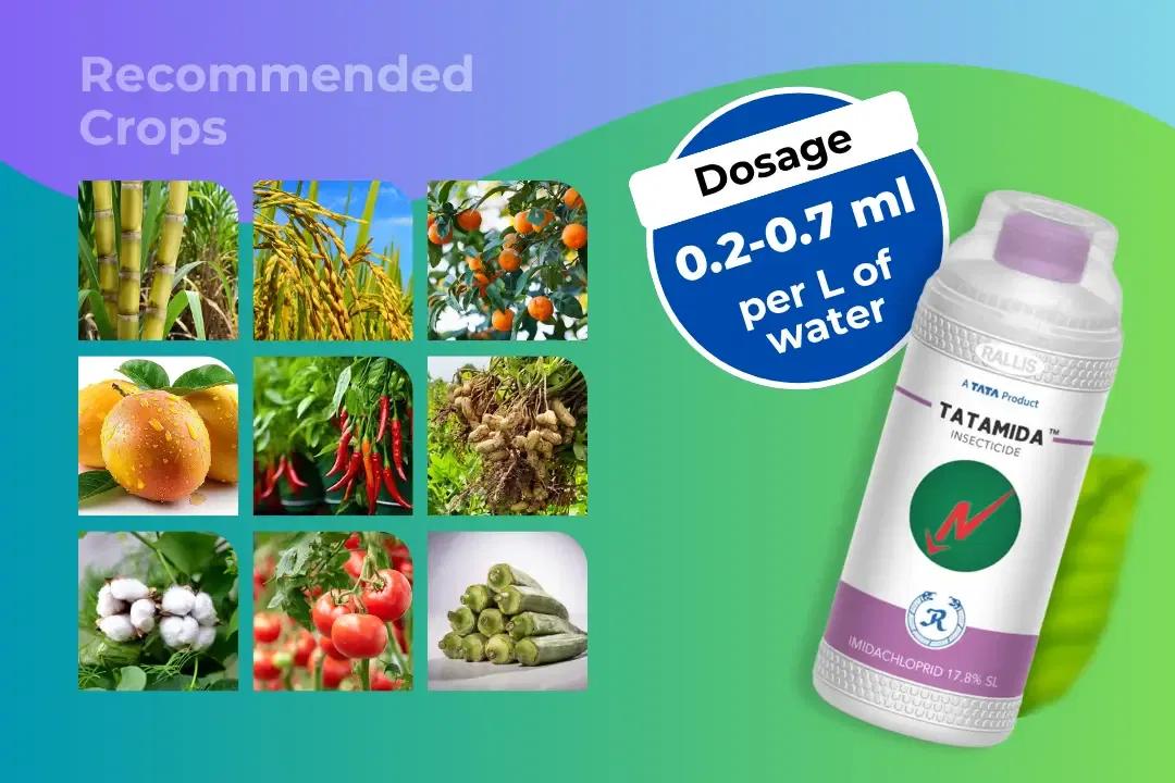 Tatamida Insecticide Dosage Per Litre And Recommended Crops