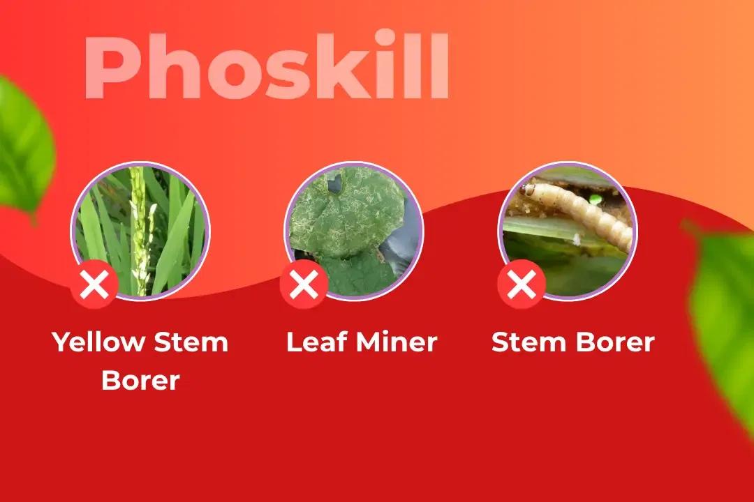 Phoskill Insecticide Target Pest