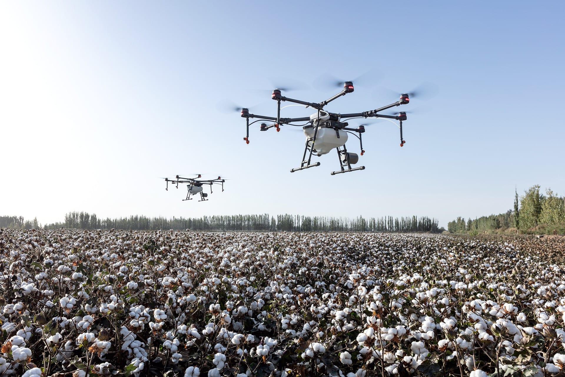 kvplus/articles/2a4578b8d990030ae57a8703e76a6f1b_agriculture-g1863af578_1920.jpg