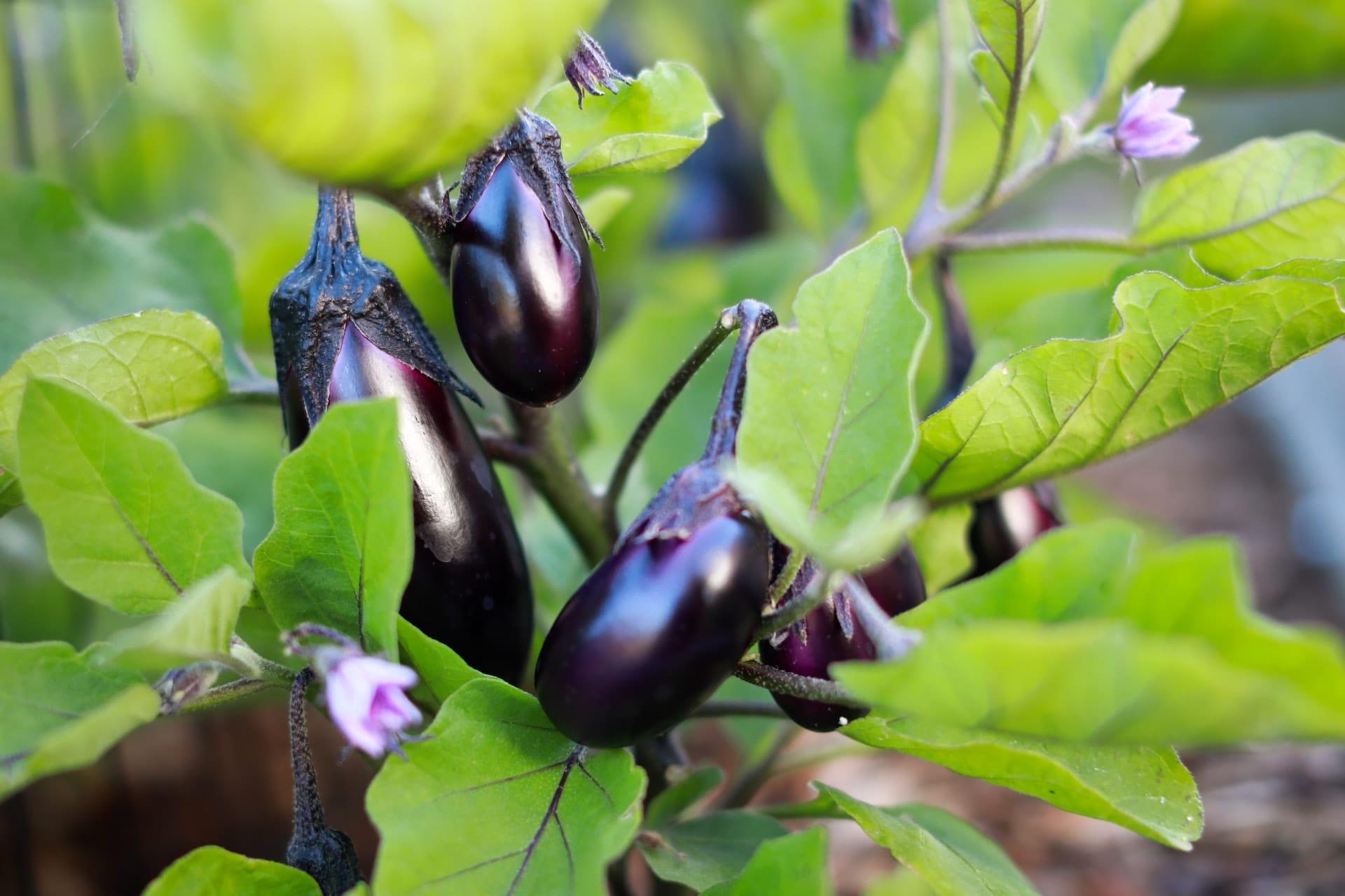 kvplus/articles/2f280583ffaf72338b0aa854cf56ea7e_nina-luong-DtaCnsYlzSM-unsplash.jpg