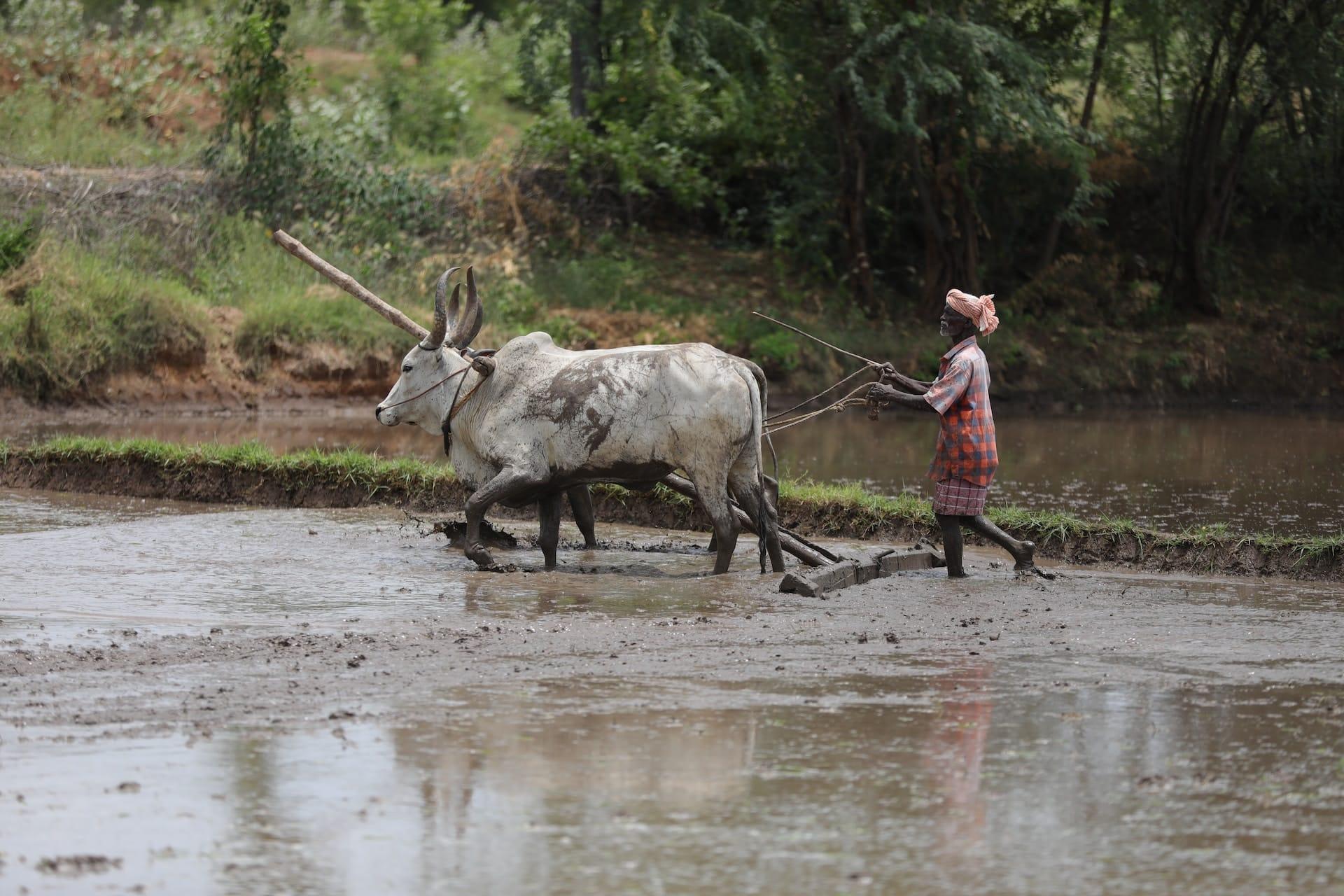 kvplus/articles/5d367686e33cd18f56882fac6f9bf98e_guru-moorthy-gokul-tdqorDOxgc-unsplash-1.jpg