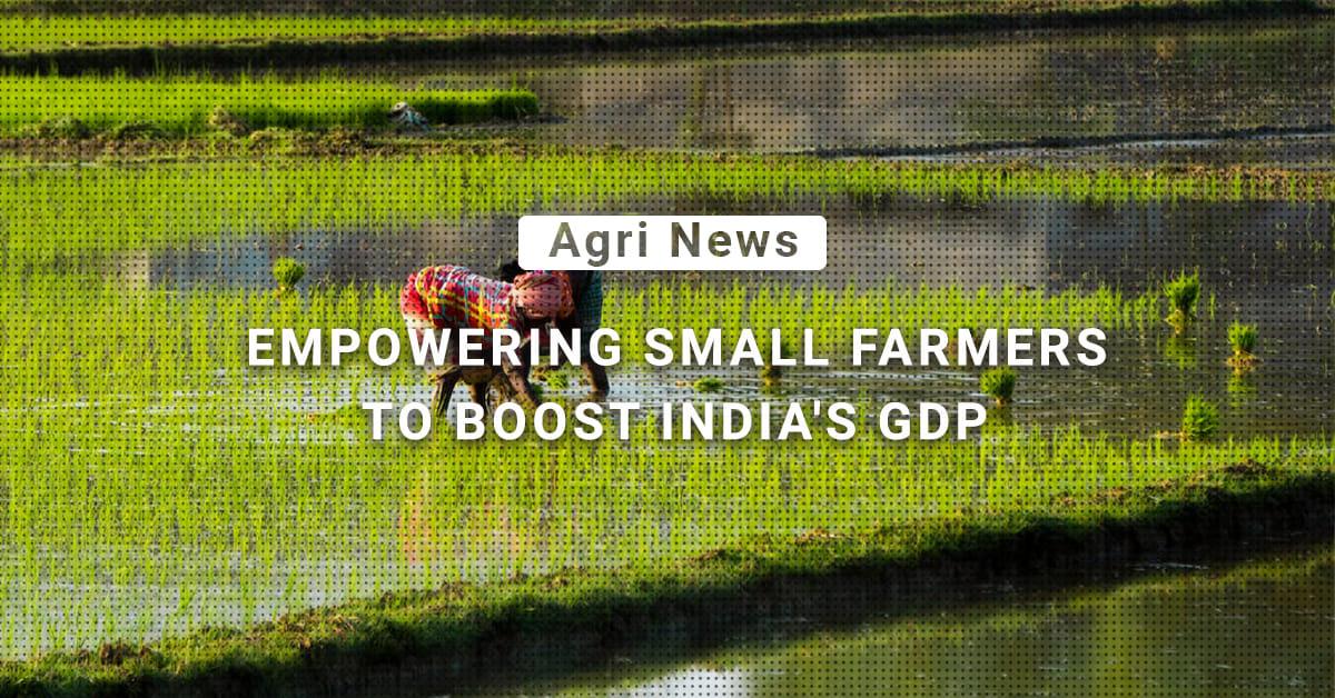 kvplus/articles/87f3d66b8089c58527b168c9399a7a2e_Empowering-small-farmers.jpg
