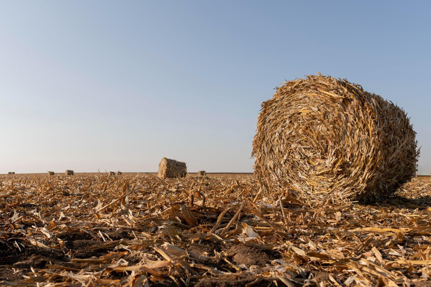 kvplus/articles/a64db228cc5ec473fc815ce89742e9fa_nature-landscape-with-hay-1.jpg