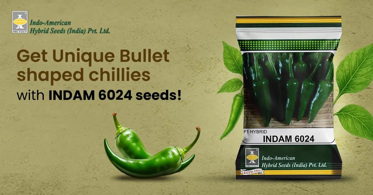 kvplus/articles/a9e82e0cdff3e15beab69c8d6cb7bff1_INDAM-6024-Chilli_Eng_1200x628.webp